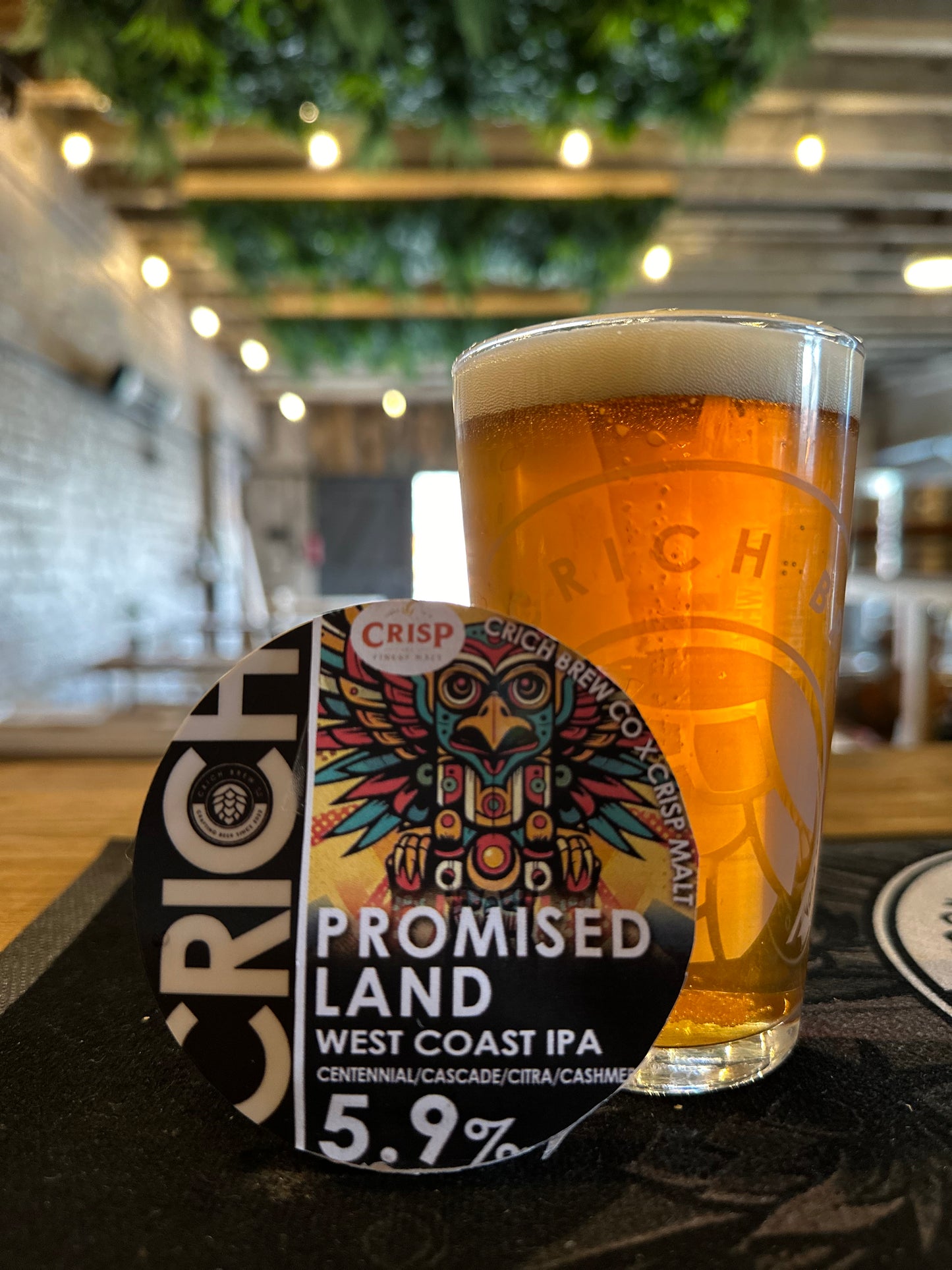 Promised Land - West Coast IPA 5.9% 440ml